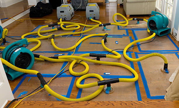 Professional Basement Flood Cleanup technician working in Armona, CA